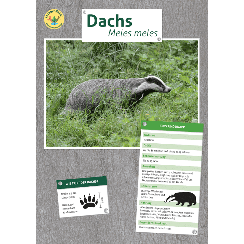 Tierposter im Format DIN A4 (Satz mit 22 Stück)
