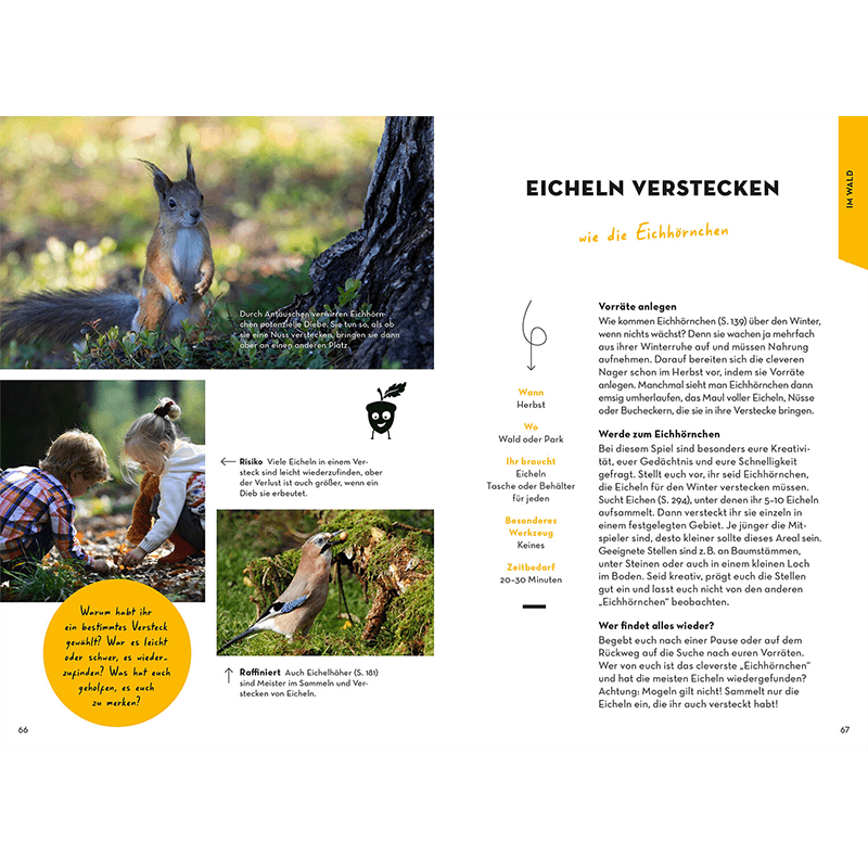 Buch "Familien-Naturführer"