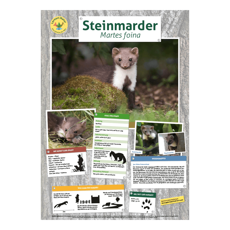 Tierposter im Format DIN A4 (Satz mit 22 Stück)