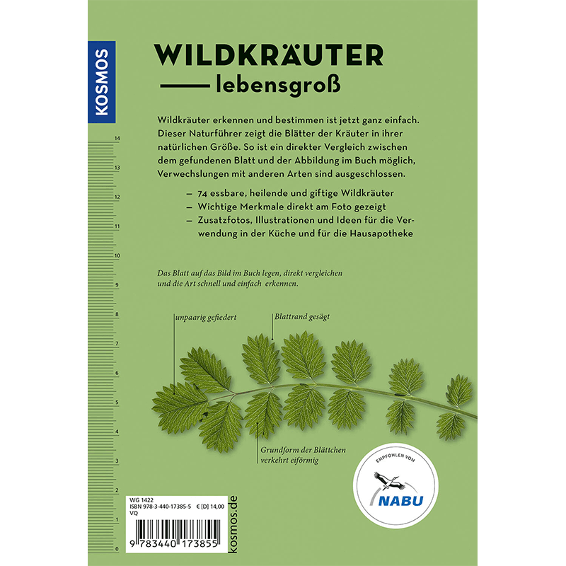 Buch "Wildkräuter am Blatt erkennen"