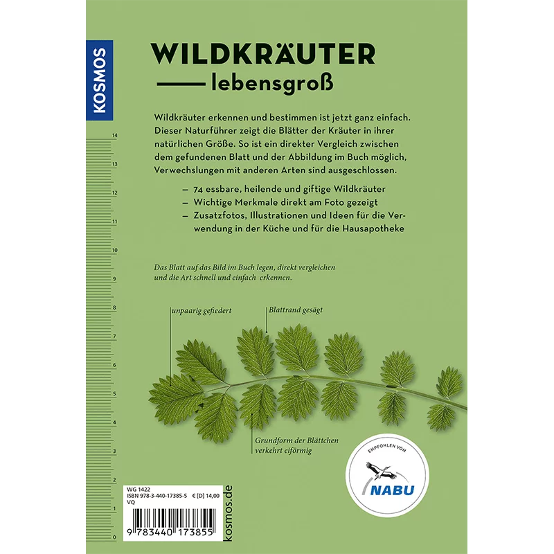 Buch "Wildkräuter am Blatt erkennen"