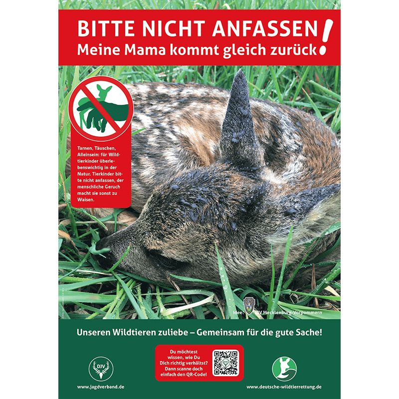 Hinweisschild Kitzrettung "Bitte nicht anfassen" A3