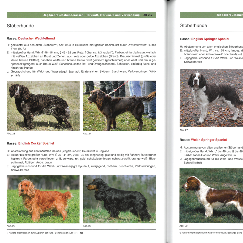 Arbeitsblätter Jägerprüfung  "Jagdhunde"