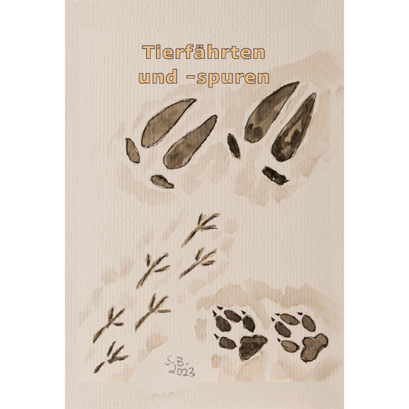Lernort Natur Draußen-Suchspiel "Wir wollen Natur finden"