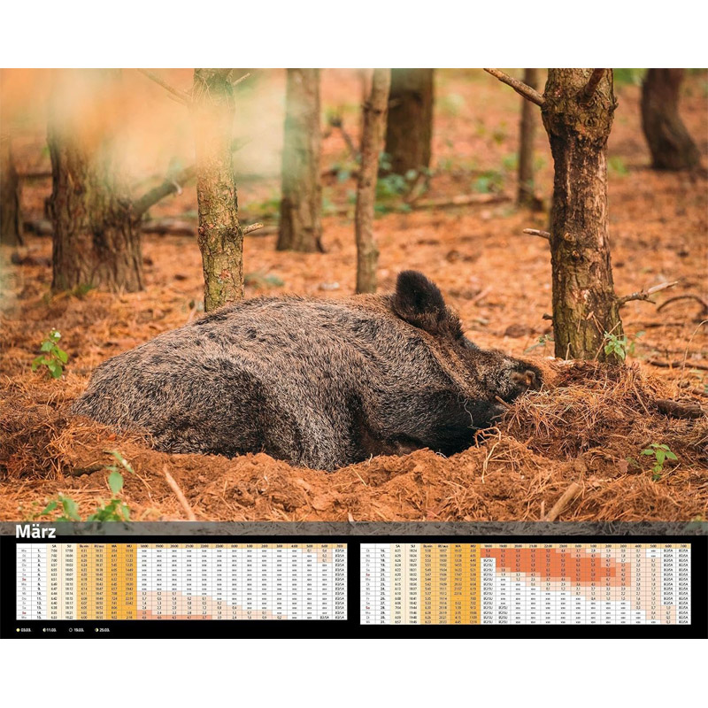 Premium-Kalender "Sauen 2027" mit Mondhelligkeitskalender (inkl. Flaschenöffner)