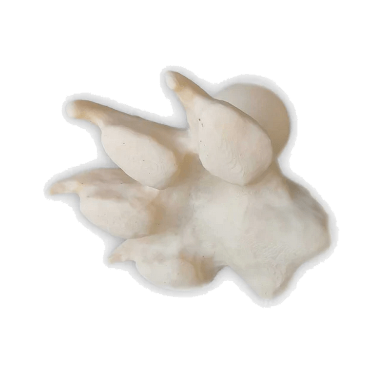 Fährtenstempel Wolf