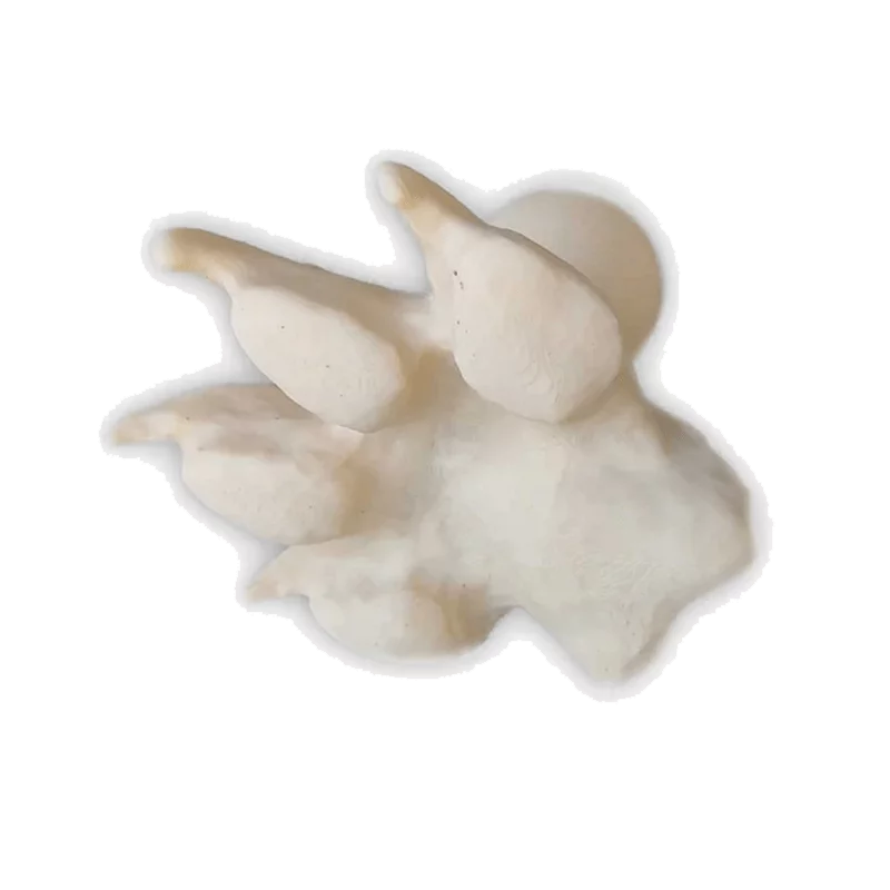 Fährtenstempel Wolf