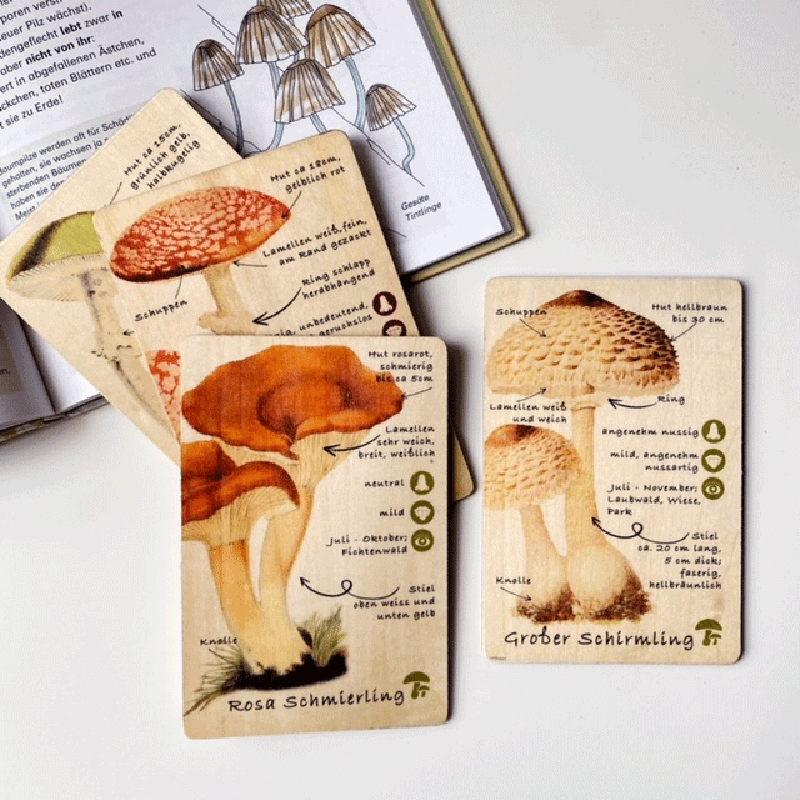 Holzkarten Lernkarten Pilze Set (9 Karten)