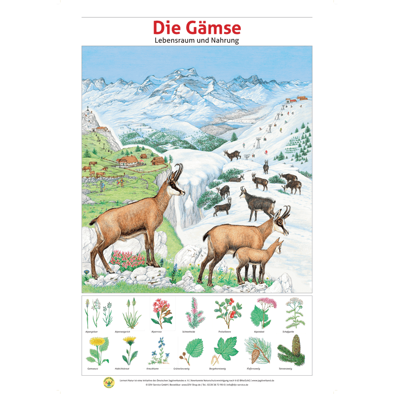 Lernort Natur-Tafel-Set "Heimische Wildtiere - Lebensraum und Nahrung" (12 Tafeln)