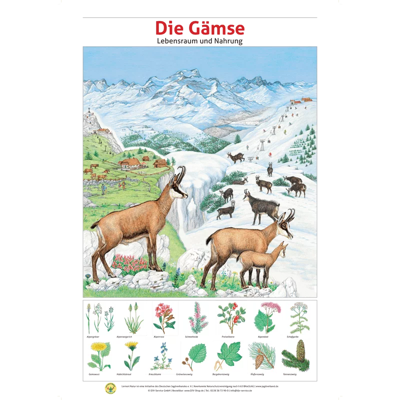 Lernort Natur-Tafel-Set "Heimische Wildtiere - Lebensraum und Nahrung" (12 Tafeln)