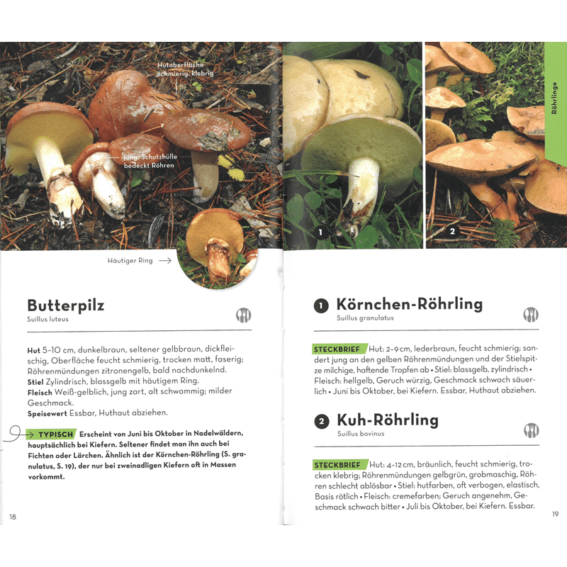 Buch "Basic Pilze"