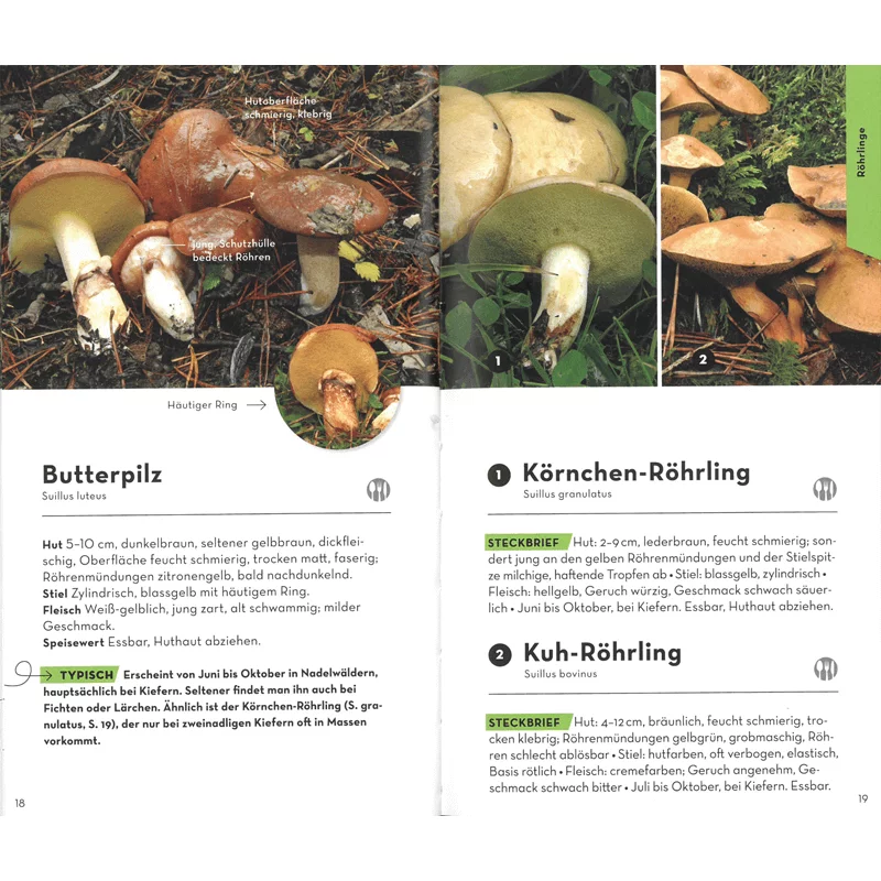 Buch "Basic Pilze"