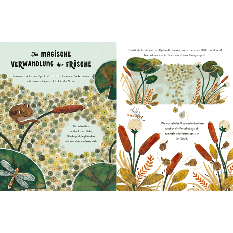 Kinderbuch "Kleine und große Wunder der Natur"