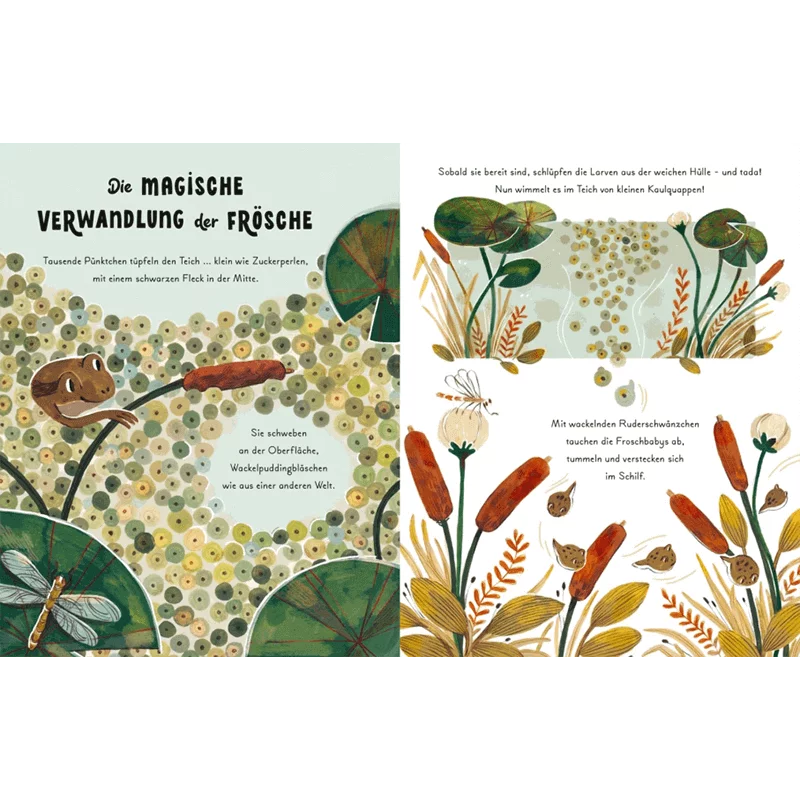 Kinderbuch "Kleine und große Wunder der Natur"