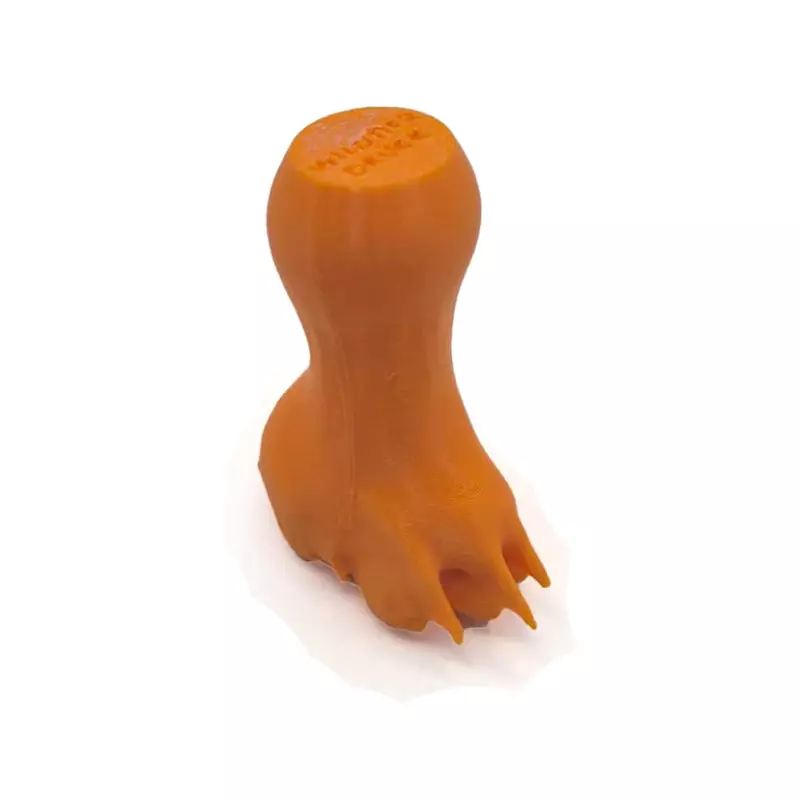 Fährtenstempel Waschbär