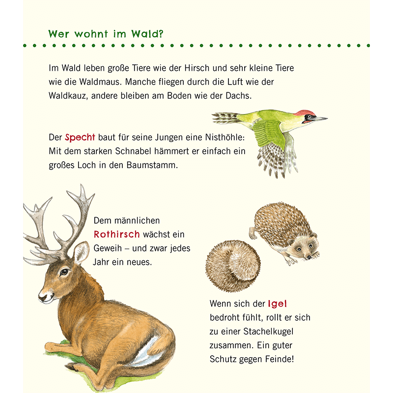 Kinderbuch "Unkaputtbar: Erstes Wissen: Im Wald"
