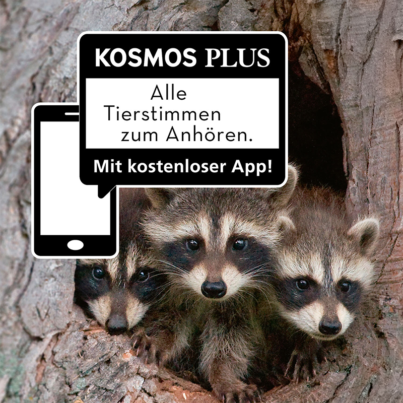 Kinder-Naturführer "Tier- und Pflanzenführer"