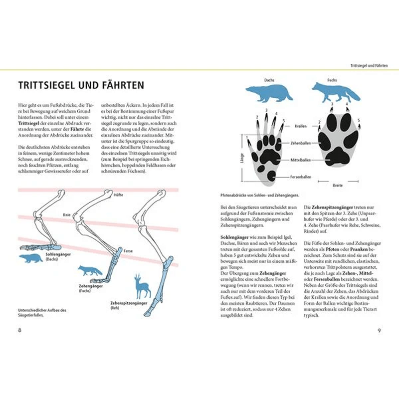 Buch „Tierspuren lebensgroß“