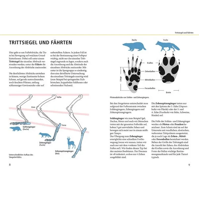 Buch „Tierspuren lebensgroß“