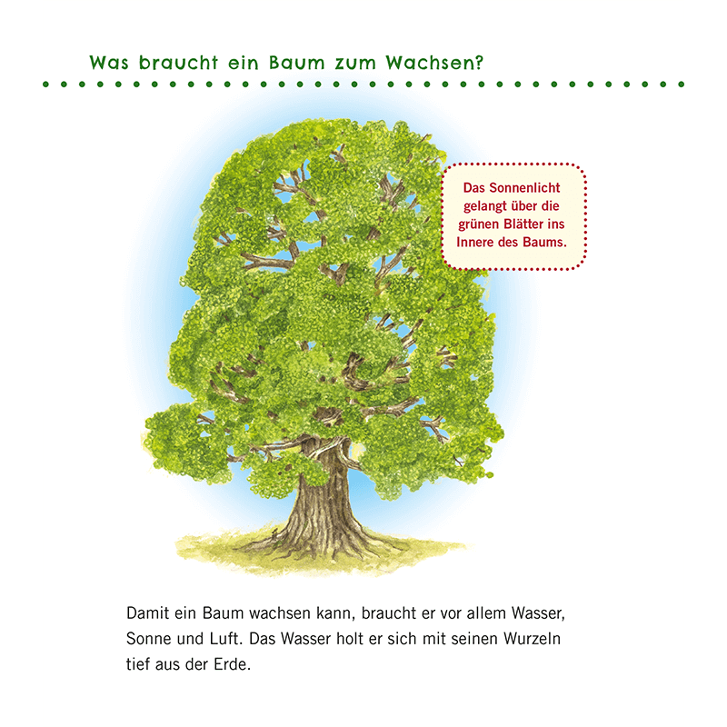 Kinderbuch "Unkaputtbar: Erstes Wissen: Im Wald"