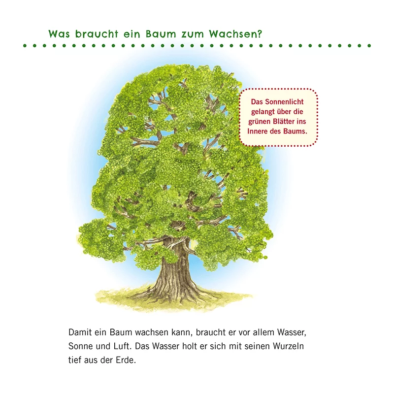 Kinderbuch "Unkaputtbar: Erstes Wissen: Im Wald"