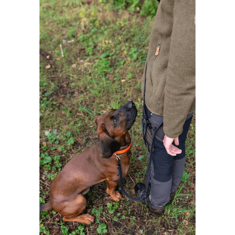 Hunde-Umhängeleine