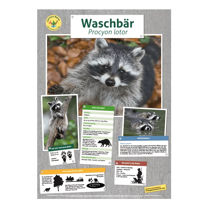Tierposter im Format DIN A4 (Satz mit 22 Stück)