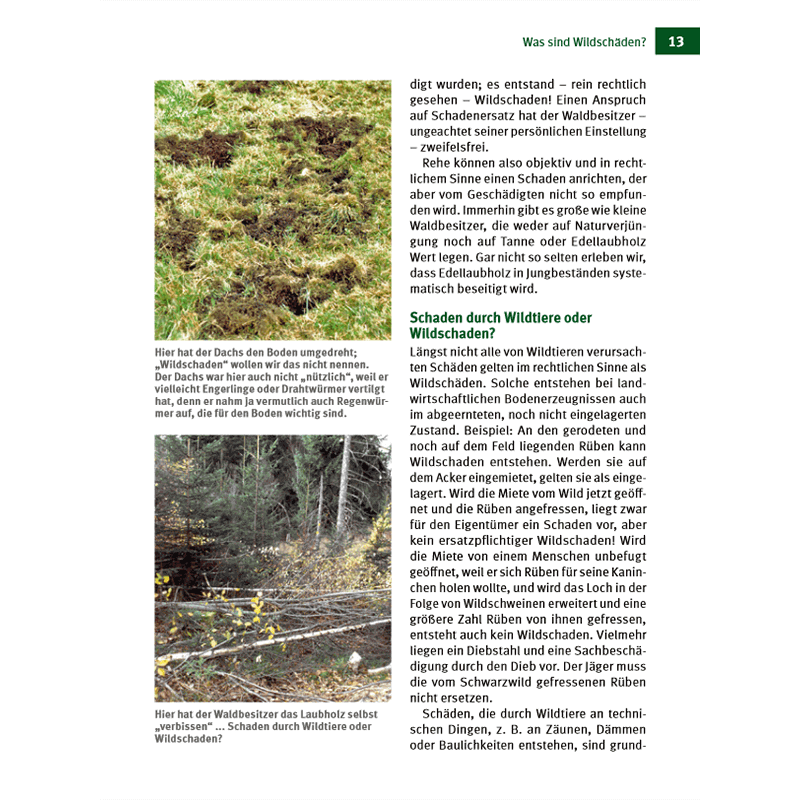 Buch "Wildschäden & Schäden durch Wildtiere"