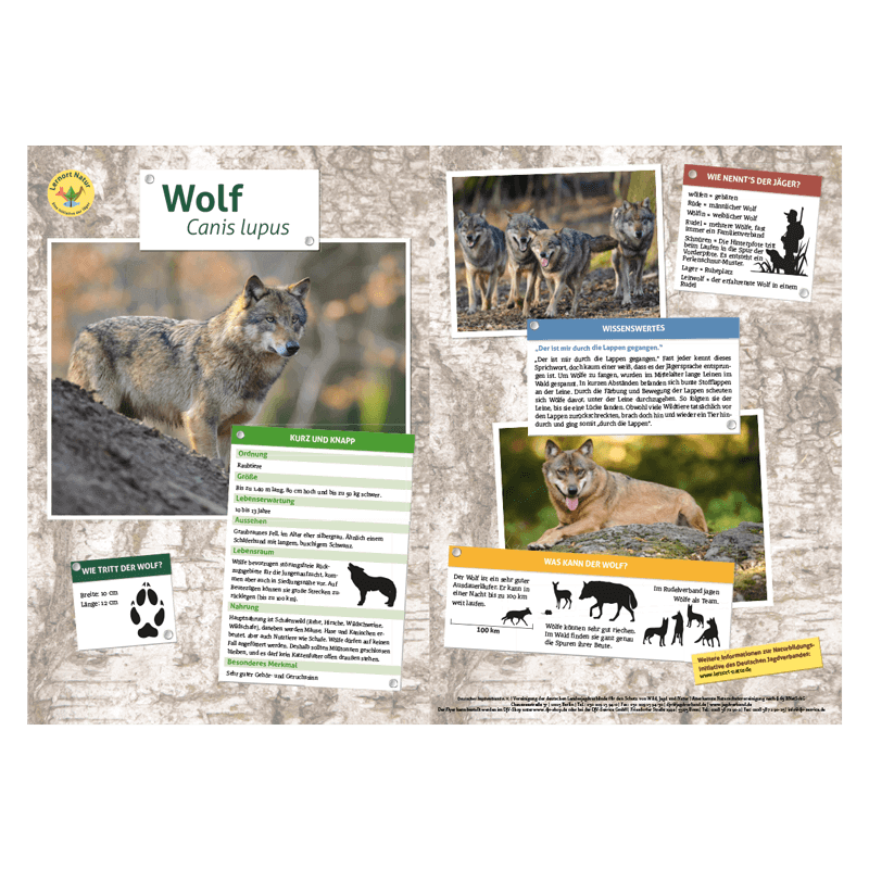 Lernort Natur-Tiertafel DIN A3 Wolf
