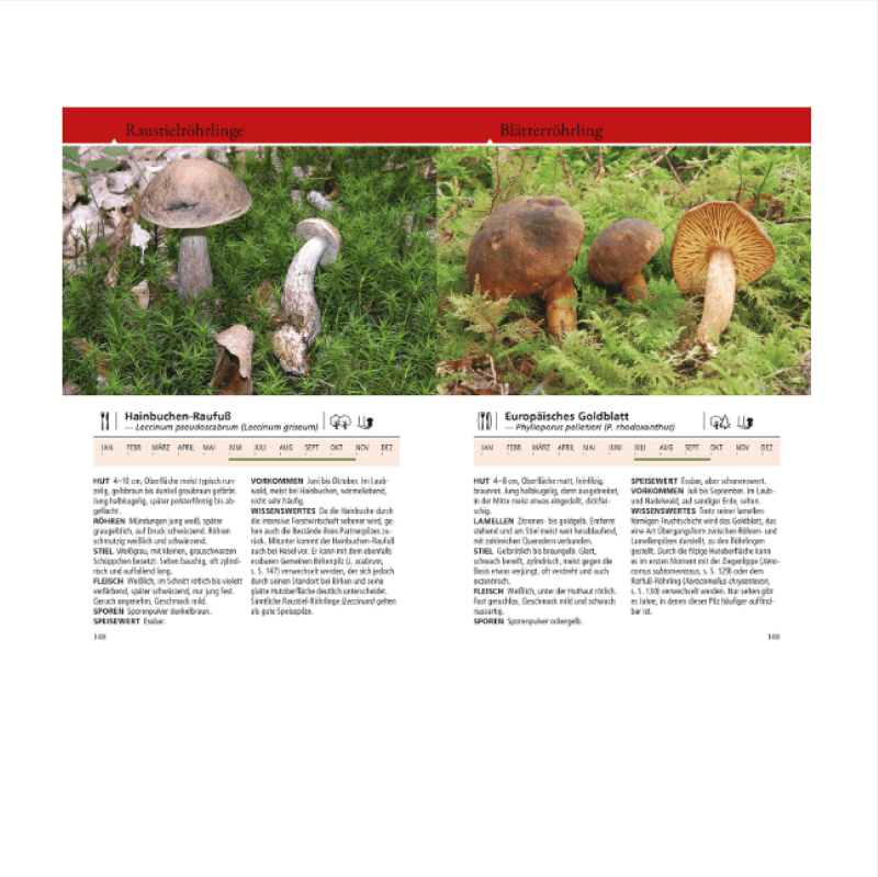 Buch "Naturführer Welcher Pilz ist das?"