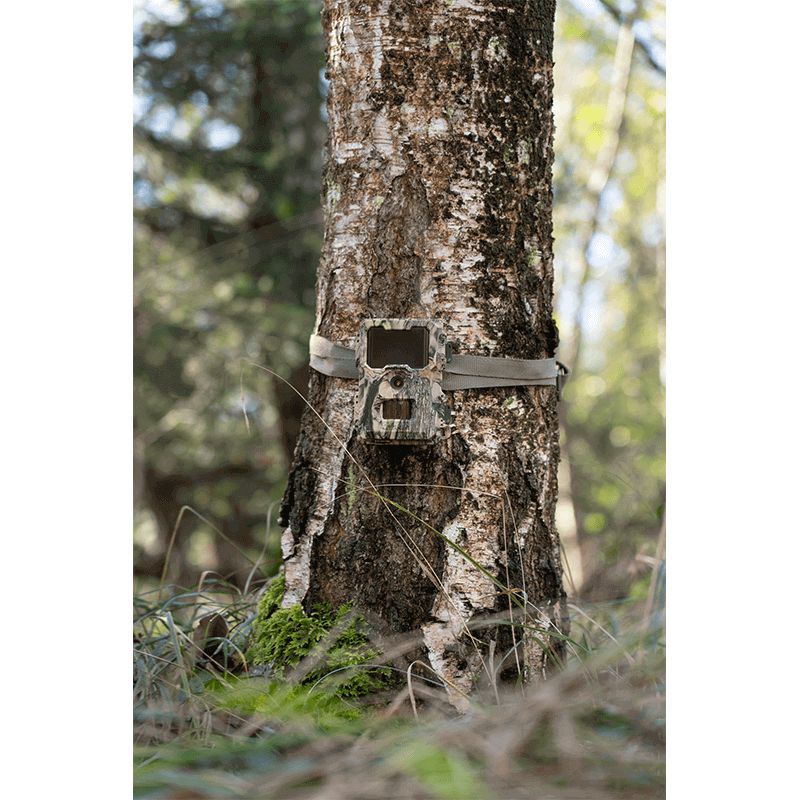 DÖRR Überwachungskamera SnapShot Mini 5.0 Pro