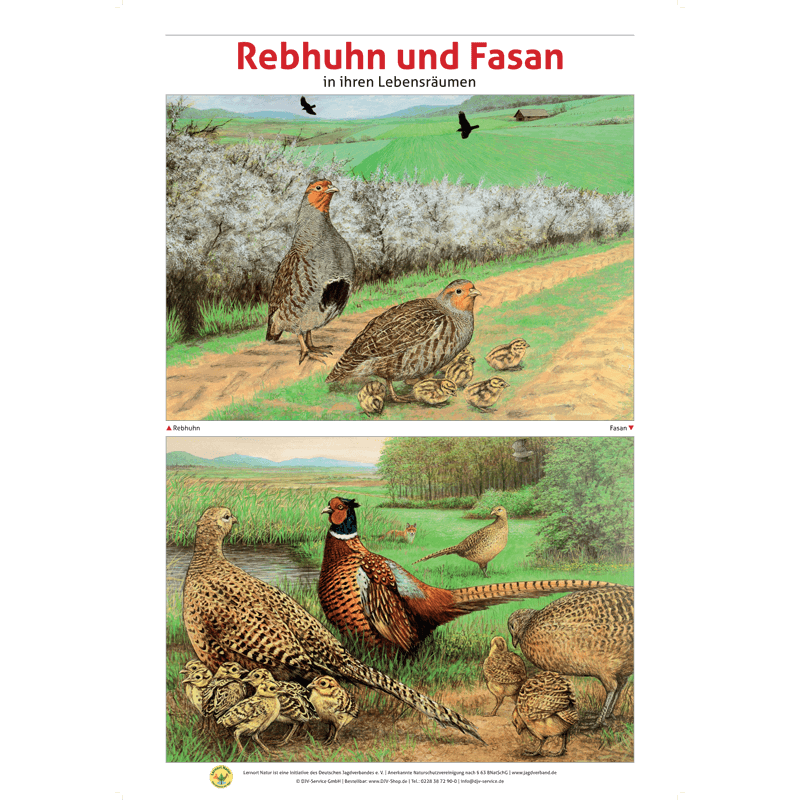 Lernort Natur-Tafel-Set "Heimische Wildtiere - Lebensraum und Nahrung" (12 Tafeln)
