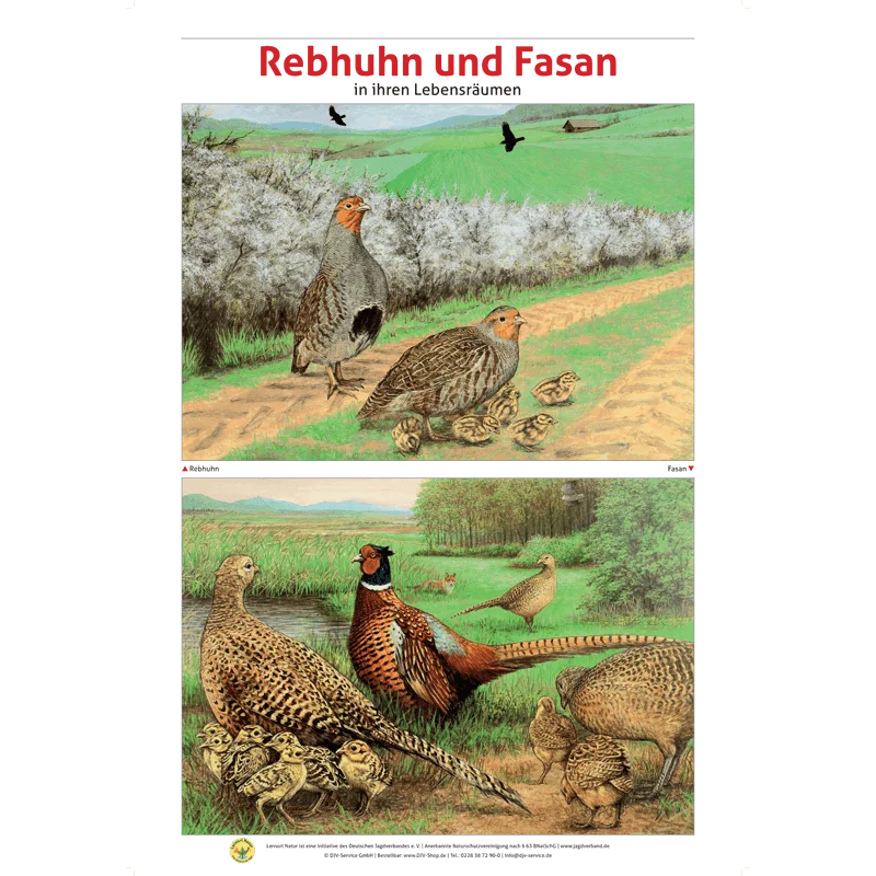 Lernort Natur-Tafel-Set "Heimische Wildtiere - Lebensraum und Nahrung" (12 Tafeln)