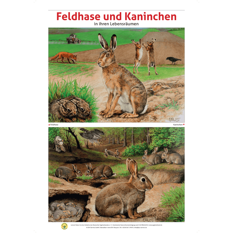 Lernort Natur-Tafel-Set "Heimische Wildtiere - Lebensraum und Nahrung" (12 Tafeln)
