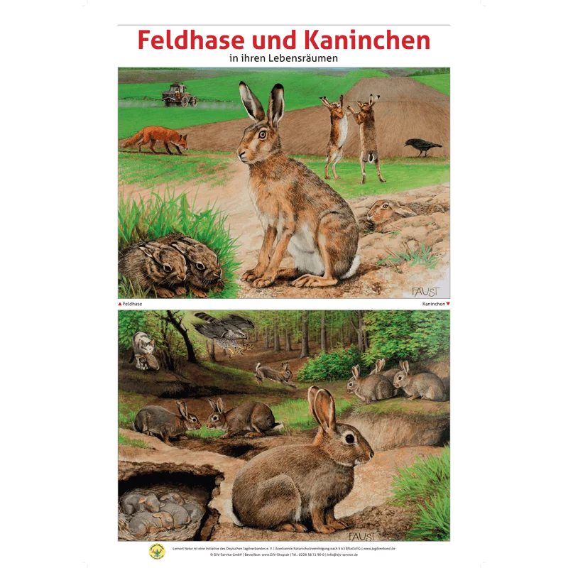 Lernort Natur-Tafel-Set "Heimische Wildtiere - Lebensraum und Nahrung" (12 Tafeln)