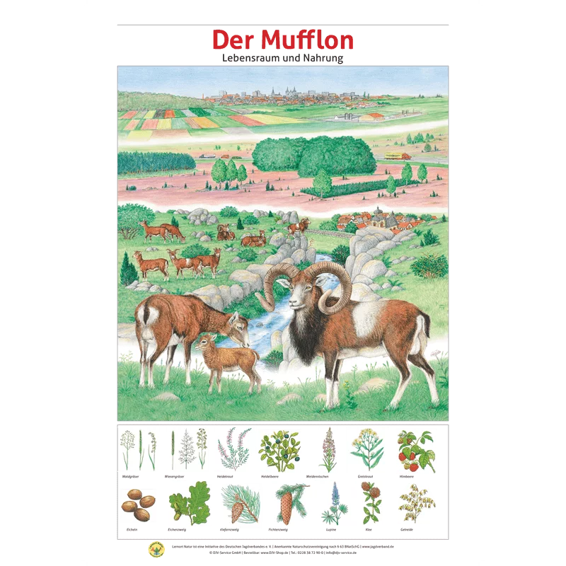 Lernort Natur-Tafel-Set "Heimische Wildtiere - Lebensraum und Nahrung" (12 Tafeln)