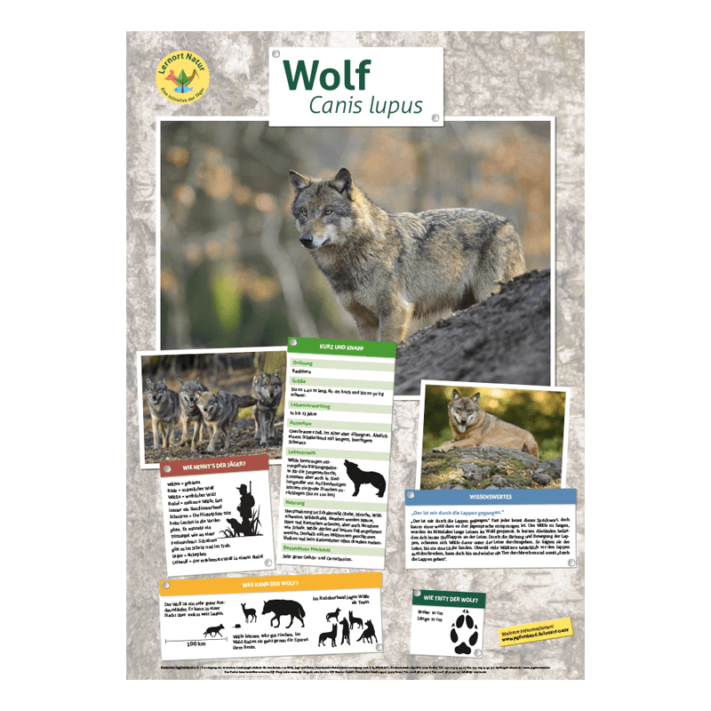 Tierposter im Format DIN A4 (Satz mit 22 Stück)