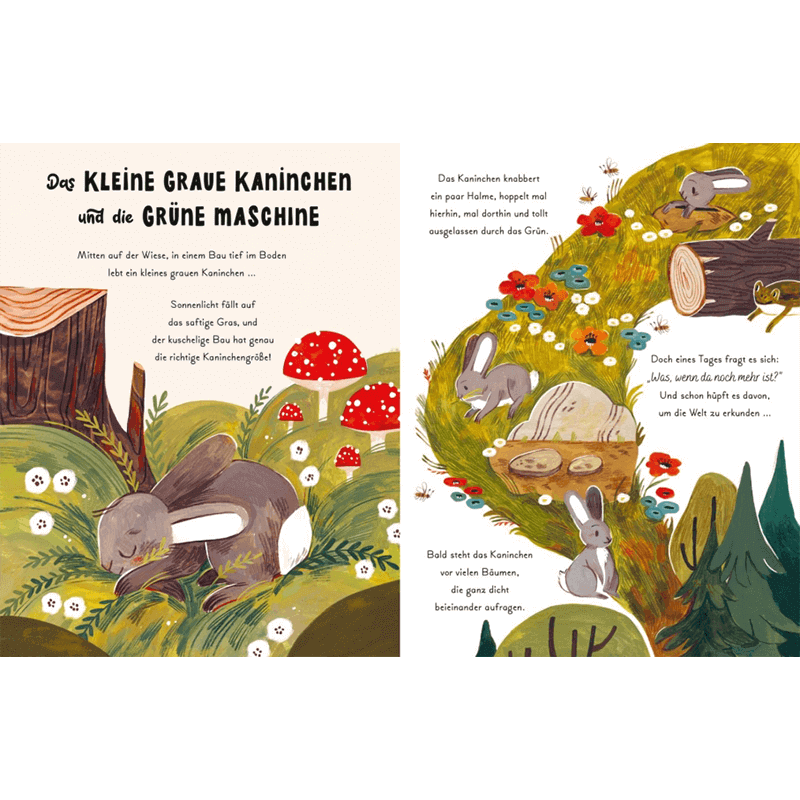 Kinderbuch "Kleine und große Wunder der Natur"