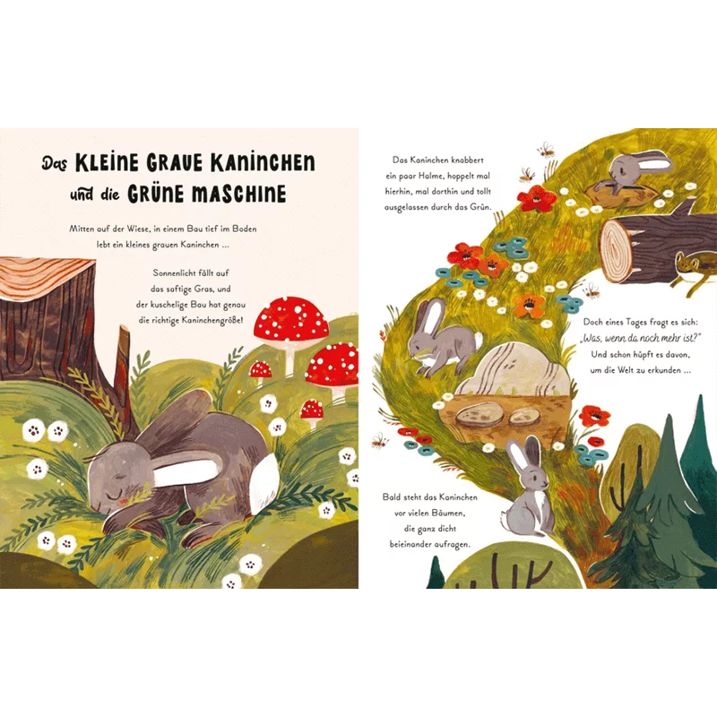 Kinderbuch "Kleine und große Wunder der Natur"