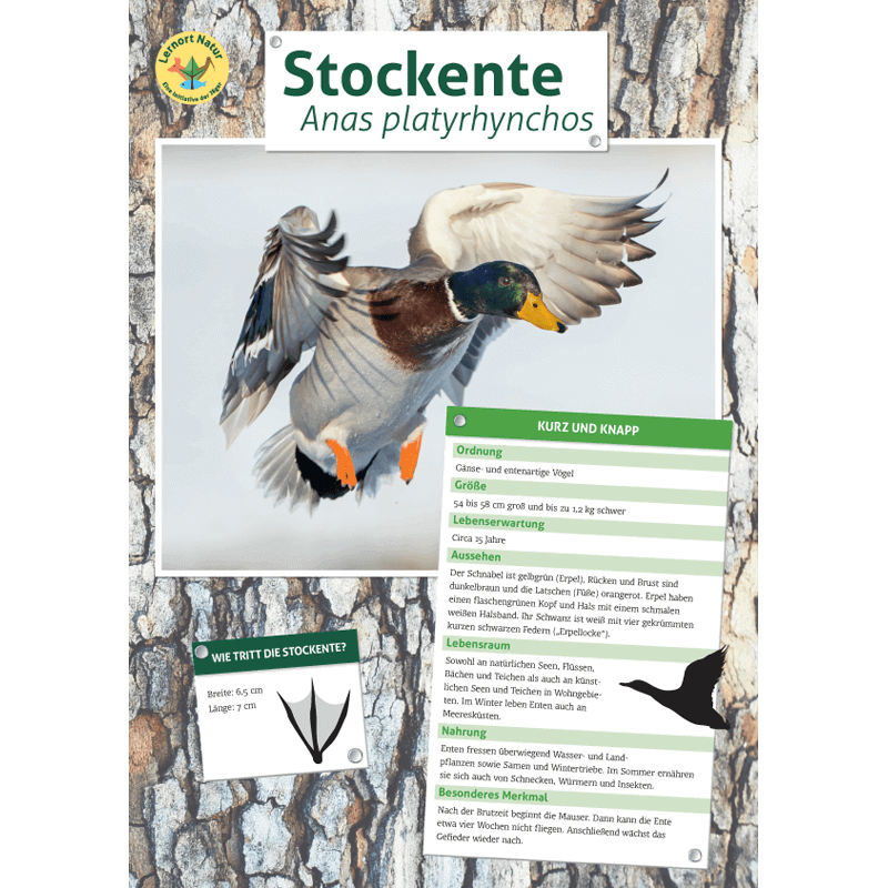Tierposter im Format DIN A4 (Satz mit 22 Stück)