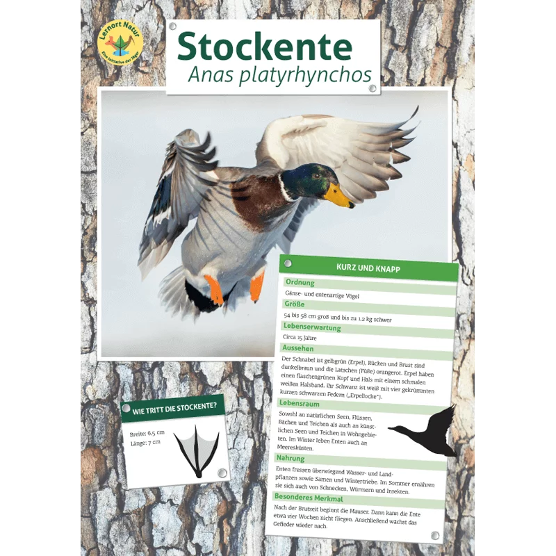 Tierposter im Format DIN A4 (Satz mit 22 Stück)