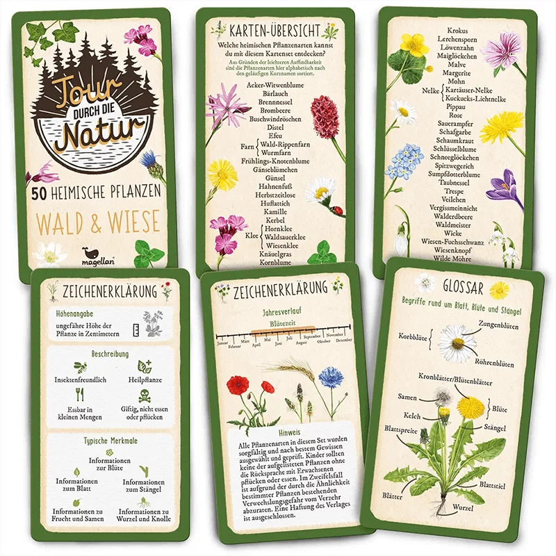 Spiel "Tour durch die Natur - Wald und Wiese"
