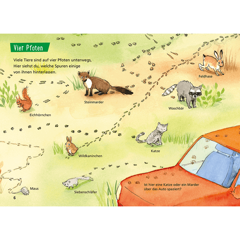 Kinderbuch "Pixi Wissen 107: Tierspuren"
