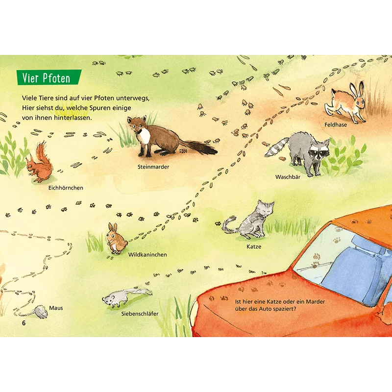 Kinderbuch "Pixi Wissen 107: Tierspuren"