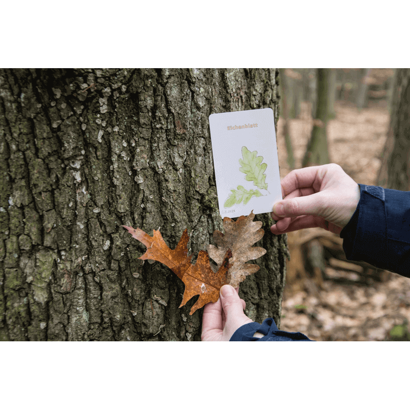 Lernort Natur Draußen-Suchspiel "Wir wollen Natur finden"