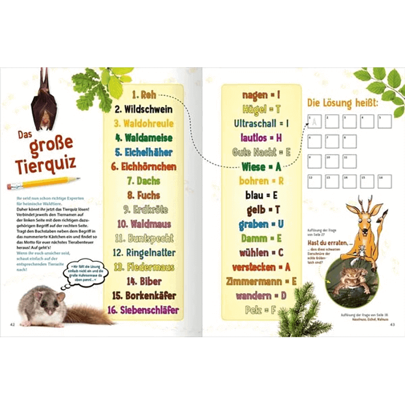 Kinderbuch "Jetzt verstehe ich die Tiere des Waldes"