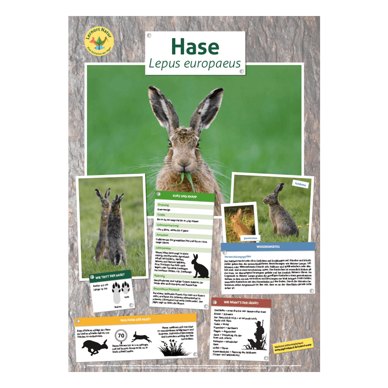Tierposter im Format DIN A4 (Satz mit 22 Stück)