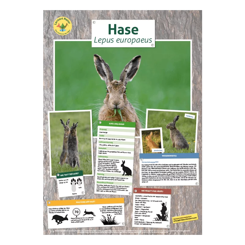 Tierposter im Format DIN A4 (Satz mit 22 Stück)