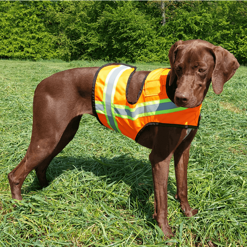 Signal-Hundeweste mit Trackerfach