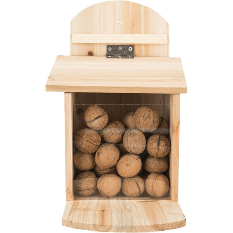 Futterstation für Eichhörnchen